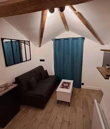 Apartment Petit-cocon Proche Centre-ville Caluire-et-Cuire